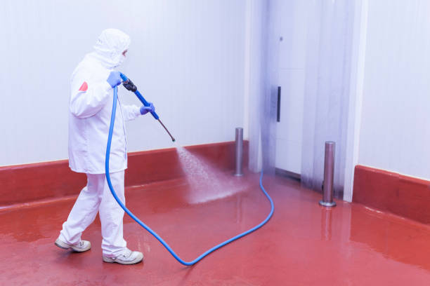 Best Pre-Holiday Cleaning  in Powdersville, SC