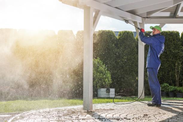 Animal Enclosure Cleaning in Powdersville, SC